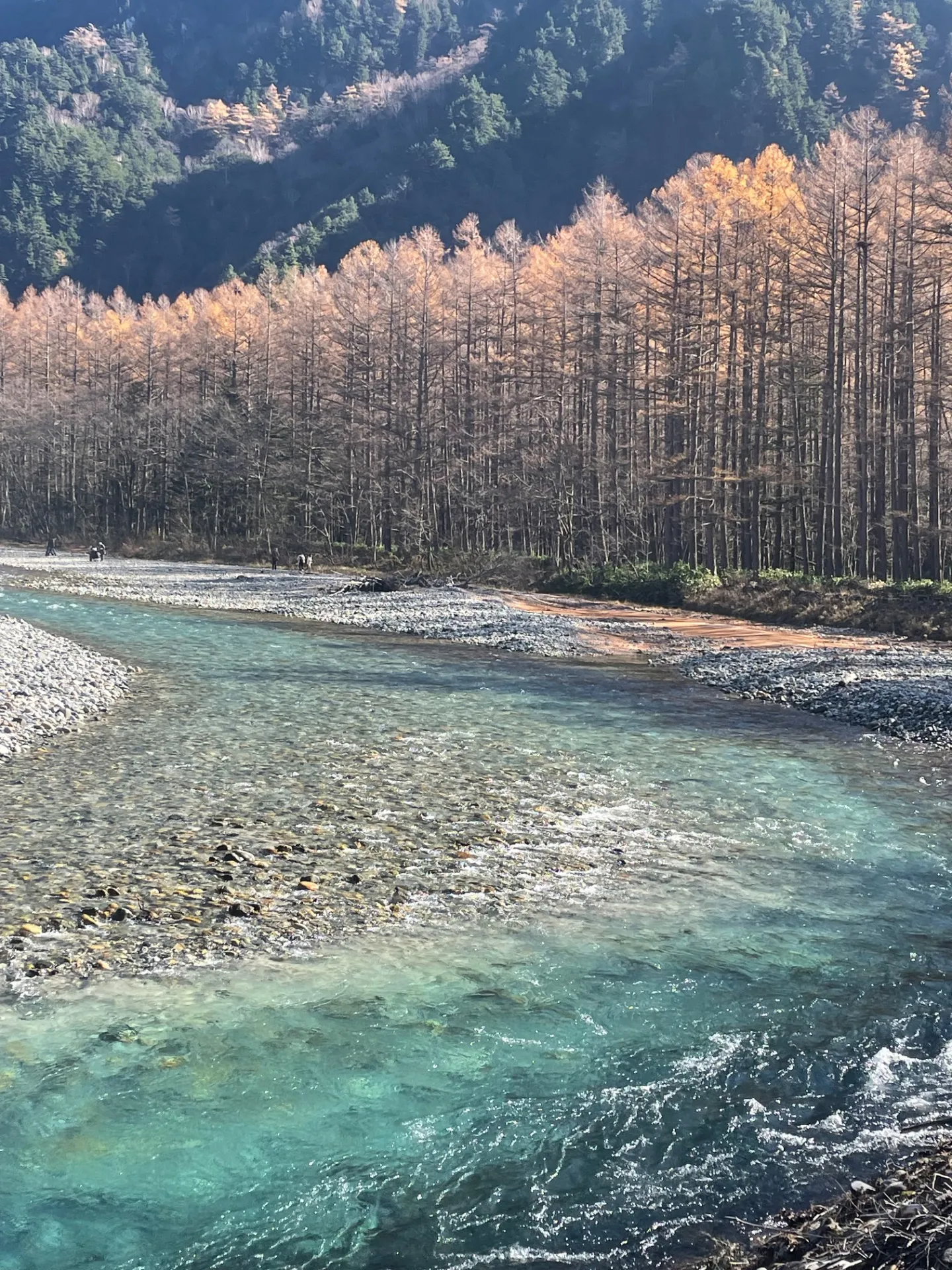 海外のお客様と7日間バスツアー添乗同行いたしました!